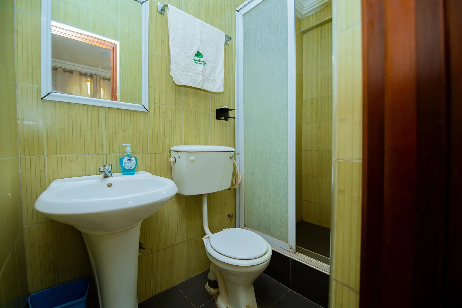 Photo of Standard Room Washroom